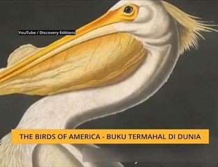 #Bualan 12 Disember: The birds of America - Buku termahal di dunia