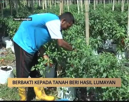 AWANI - Pulau Pinang: Berbakti kepada tanah beri hasil lumayan