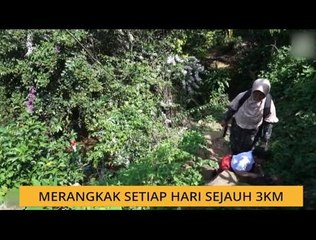 #Bualan 09 Disember: Merangkak setiap hari sejauh 3 km