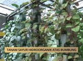 AWANI - Pulau Pinang: Tanam sayur hidroorganik atas bumbung