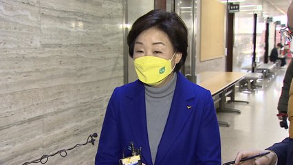 심상정 "민주당, DJ 때부터 개혁 얘기...안 해서 문제" / YTN