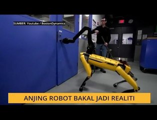 #Bualan 05 Disember: Anjing robot bakal jadi realiti