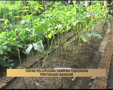 AWANI - Pulau Pinang: Tapak pelupusan sampah dijadikan pertanian bandar