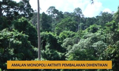 Kalendar Sabah: Amalan monopoli aktiviti pembalakan dihentikan