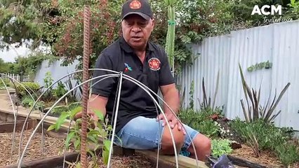 Marang Indigenous Edible Garden