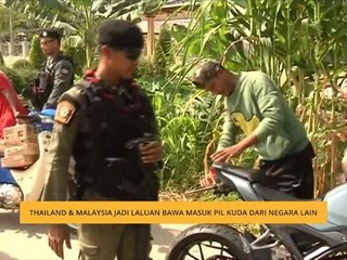 Thailand & Malaysia jadi laluan masuk pil kuda dari negara lain