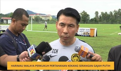 Harimau Malaya perkukus pertahanan kekang serangan gajah putih