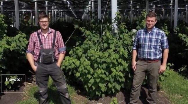 Dua Petani Muda Asal Jerman, Bertani Ramah Lingkungan dan Pasok Listrik dengan Panel Surya