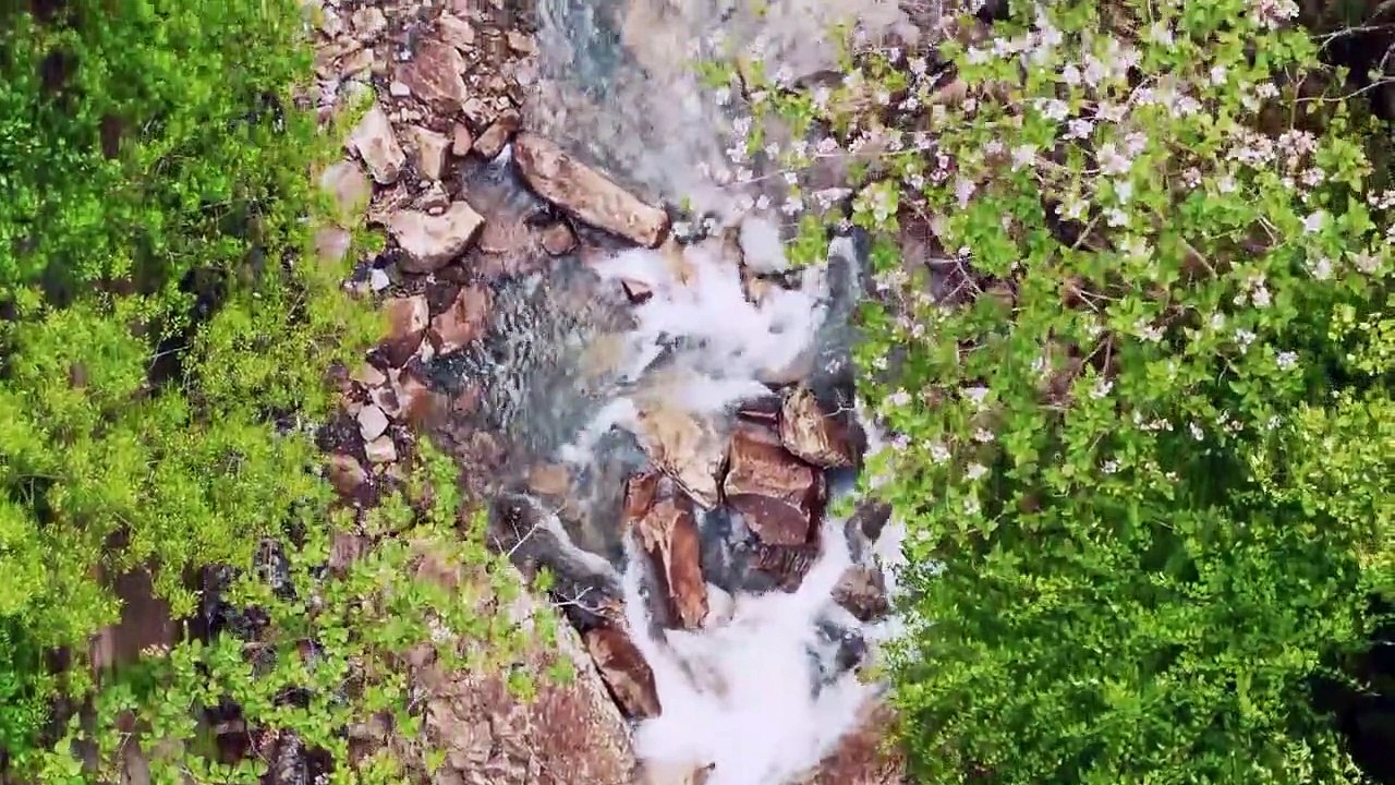 Relaxing Music for Stress Relief -  Piano Music, Nature Sounds, Sleep Music, 9 minute