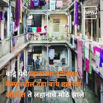 Marathi Manus: Everything You Need To Know About BJP’s Ashish Shelar