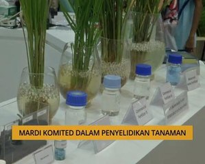 Tanam: MARDI komited dalam penyelidikan tanaman