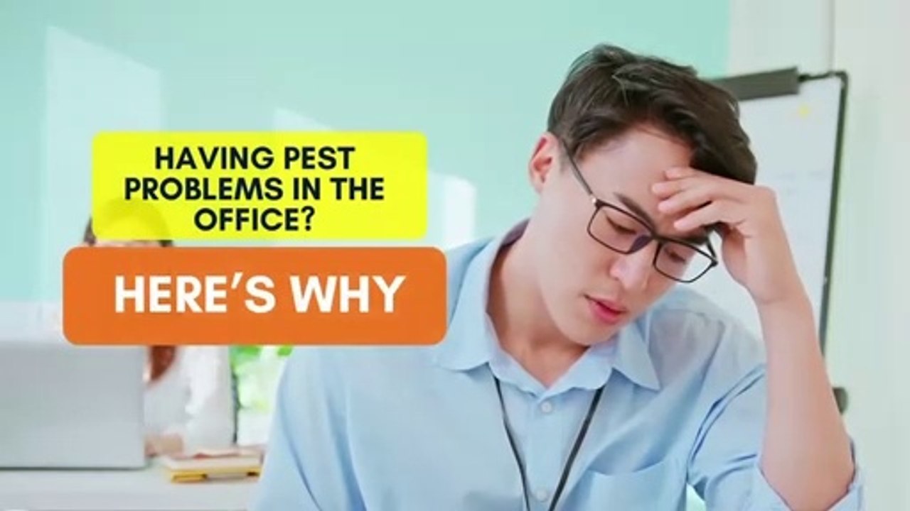 Having Pest Problems in the Office? Here’s Why