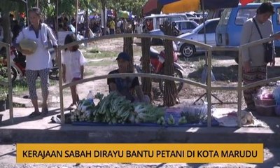Kalendar Sabah: Kerajaan Sabah dirayu bantu petani di Kota Marudu