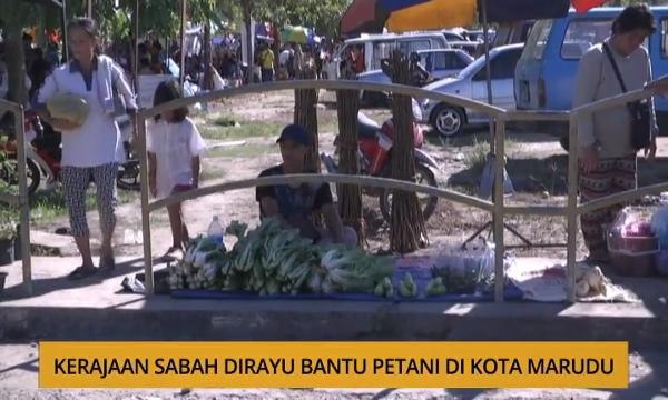 Kalendar Sabah: Kerajaan Sabah dirayu bantu petani di Kota Marudu