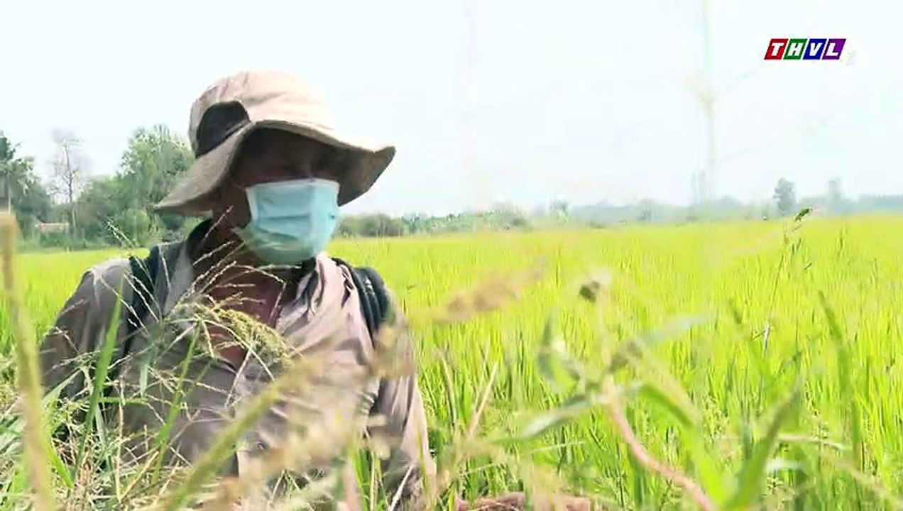 Thắp sáng niềm tin - kỳ 644: Em Huỳnh Ngọc Thơ | Trailer