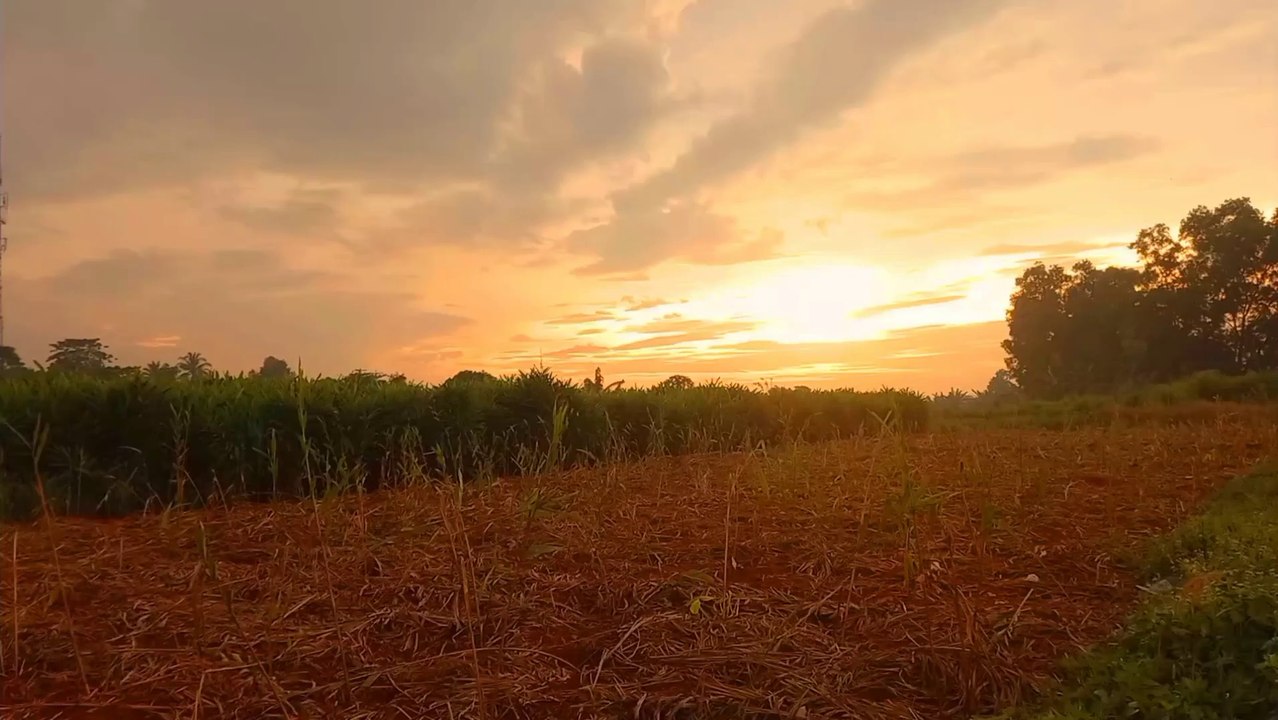 Waiting sunset time lapse
