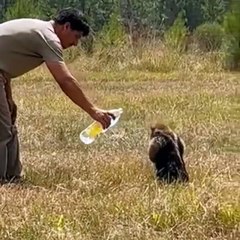 50 يوما من حرائق كورينتس بالأرجنتين.. حيوانات متفحمة وأخرى تحاول الفرار