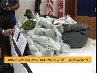 Rampasan ketum di Kelantan catat peningkatan