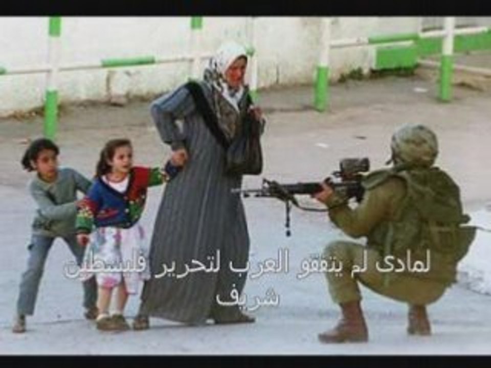 palestine _hasni