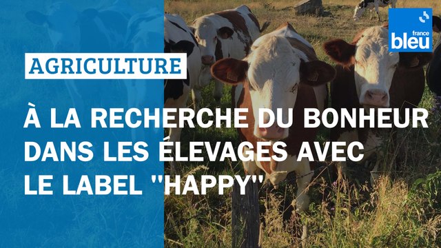 À la recherche du bonheur dans les élevages avec le label Happy