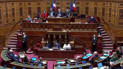 Download Video: Ukraine : plusieurs sénateurs demandent un débat au Parlement