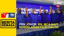 PRN Johor: BN, MCA nafi bertelagah pilih calon