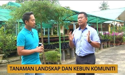 Tanam: Tanaman landskap dan kebun komuniti