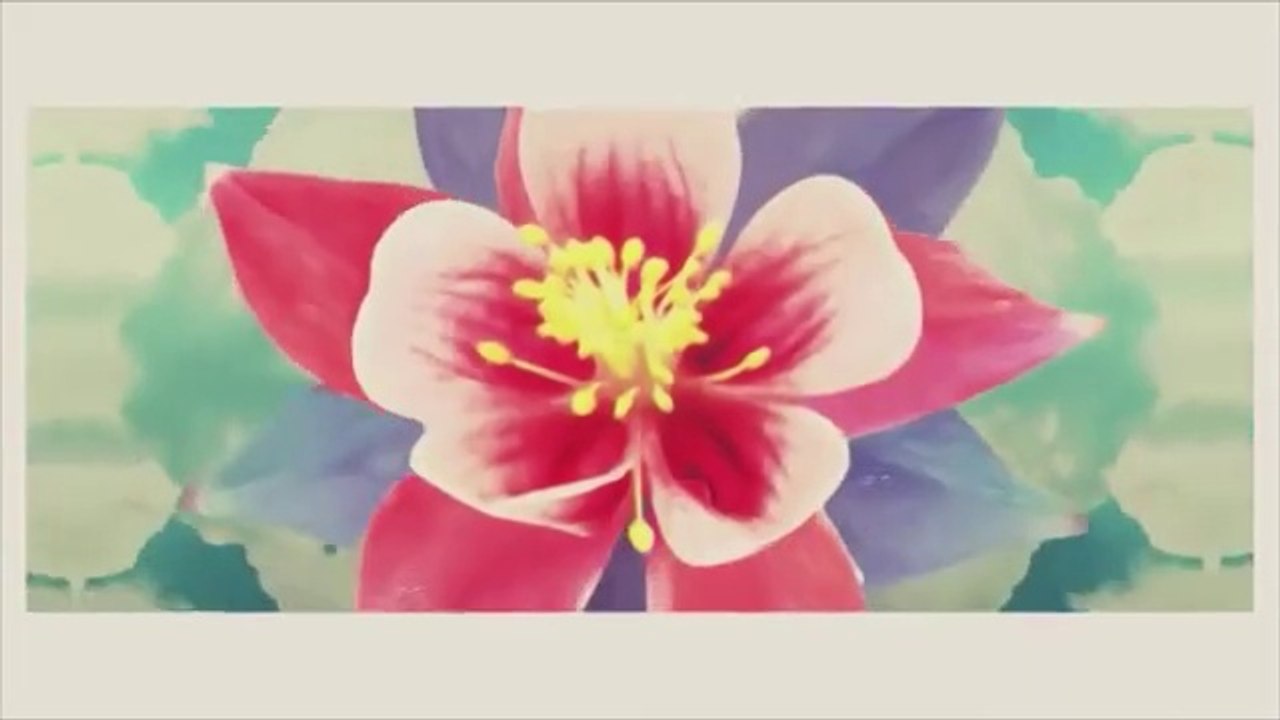 Zapukaj do moich drzwi - odc.59