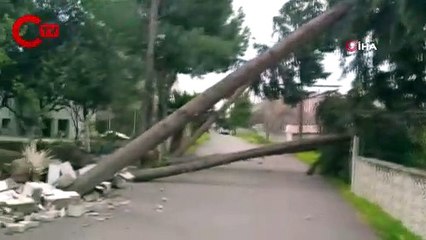 Hatay’da fırtına çatıları uçurdu ağaçları kökünden söktü