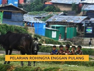 Pelarian Rohingya enggan pulang