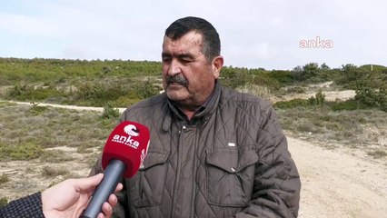 Altınkum Plajı'nda tahribat! 12 dönümlük alana zarar verildi