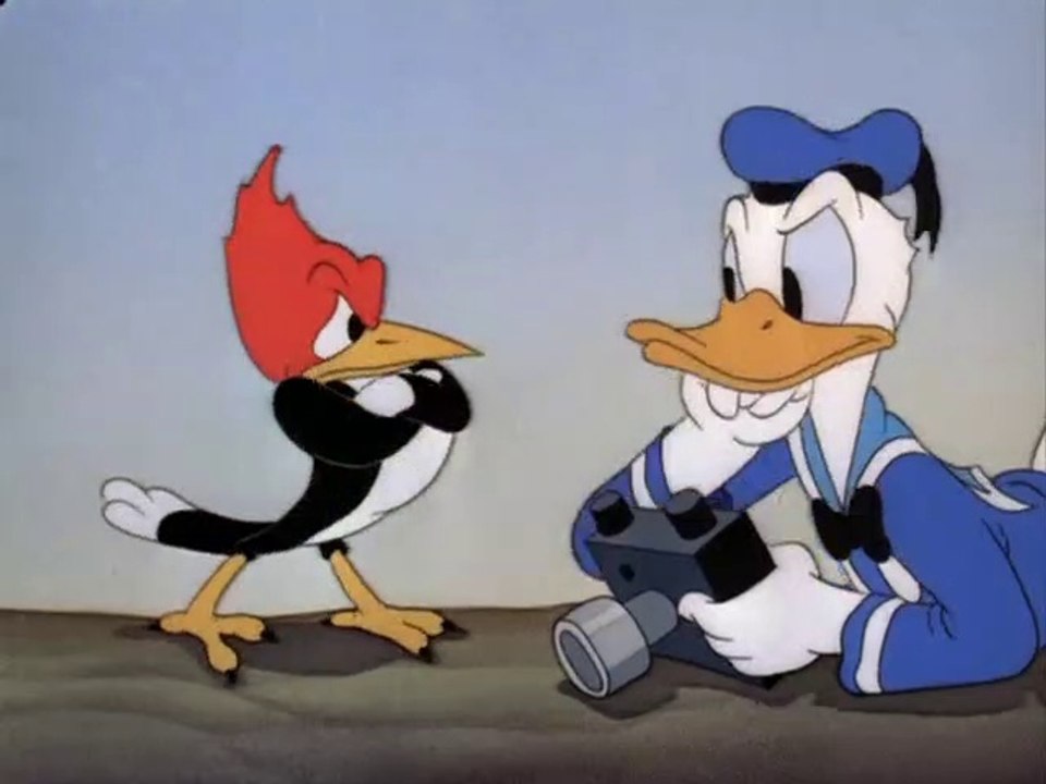 Donald's Camera 1941