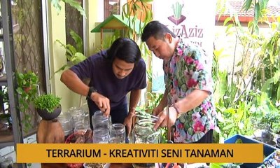 Tanam: Terrarium - Kreativiti seni tanaman
