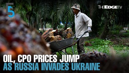 EVENING 5: Oil, CPO jump as Russia invades Ukraine