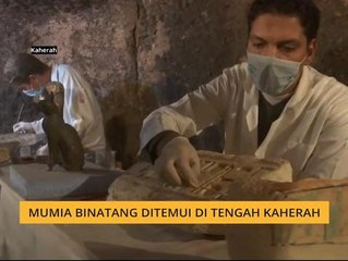 Mumia binatang ditemui di tengah Kaherah