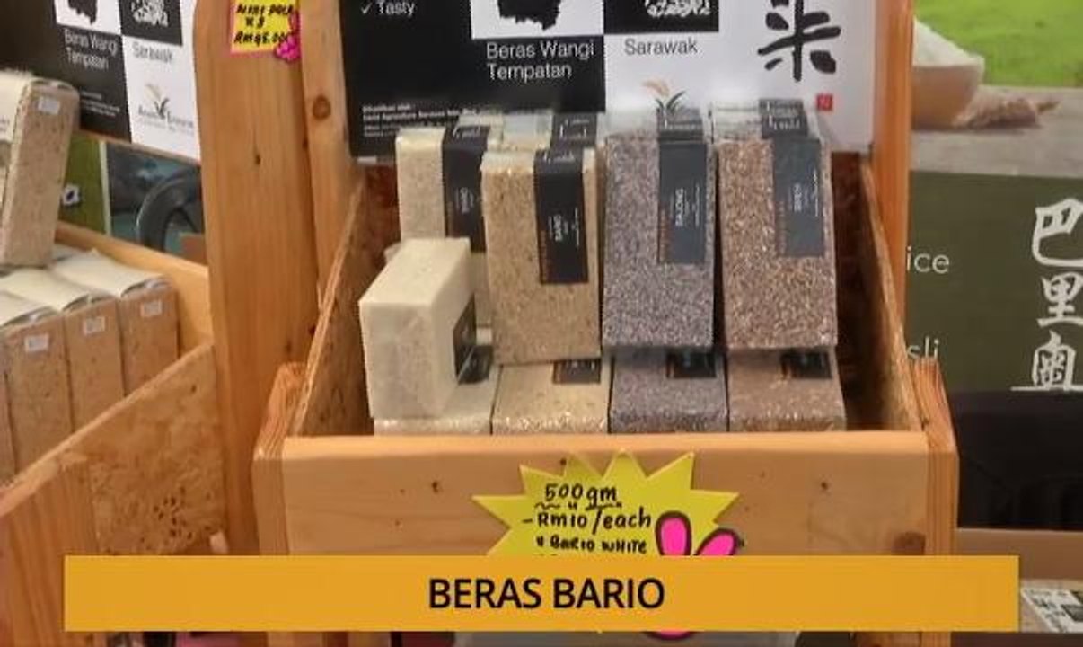 Tanam: Beras Bario