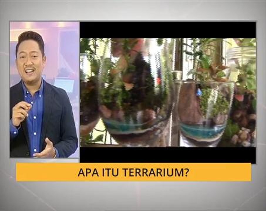 Apa itu Terrarium?
