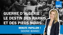 Guerre d'Algérie : Les destin des Harkis et des Pieds Noirs
