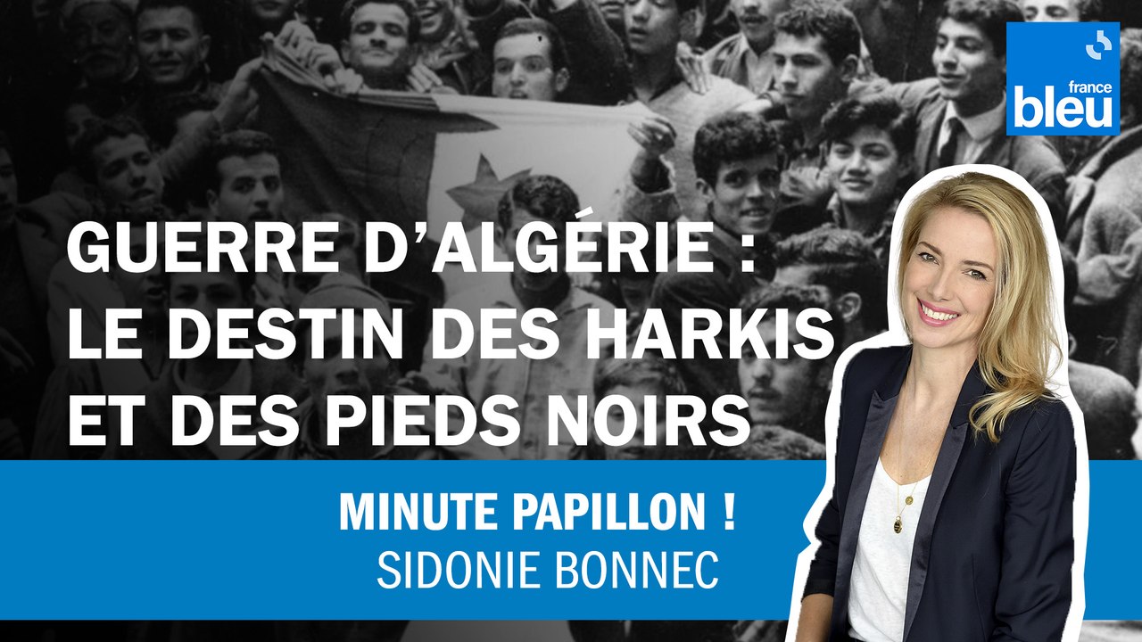 Guerre d'Algérie : Les destin des Harkis et des Pieds Noirs