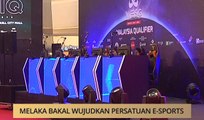 AWANI - Melaka: Melaka bakal wujudkan persatuan e-sports