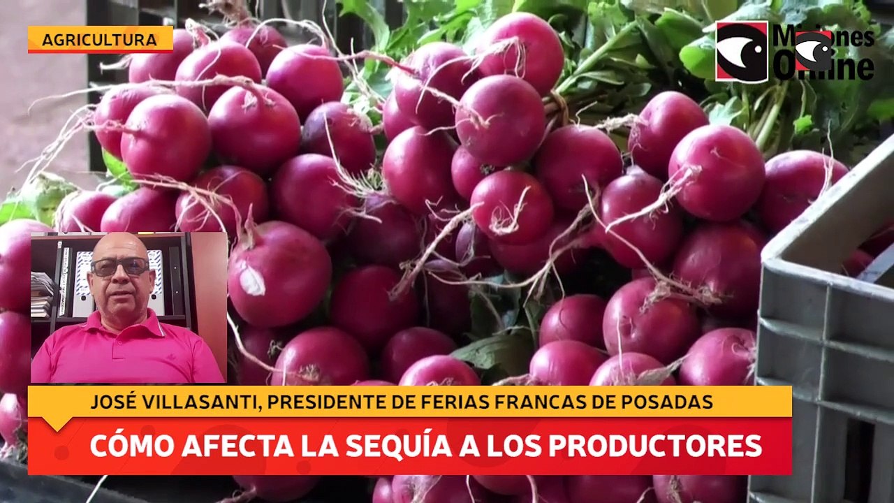 Cómo afecta la sequía a los productores