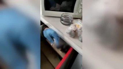 Evinde uyuşturucu ele geçirilen zanlı gözaltına alındı