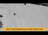 #Bualan 5 Nov: Saat mendebarkan anak beruang