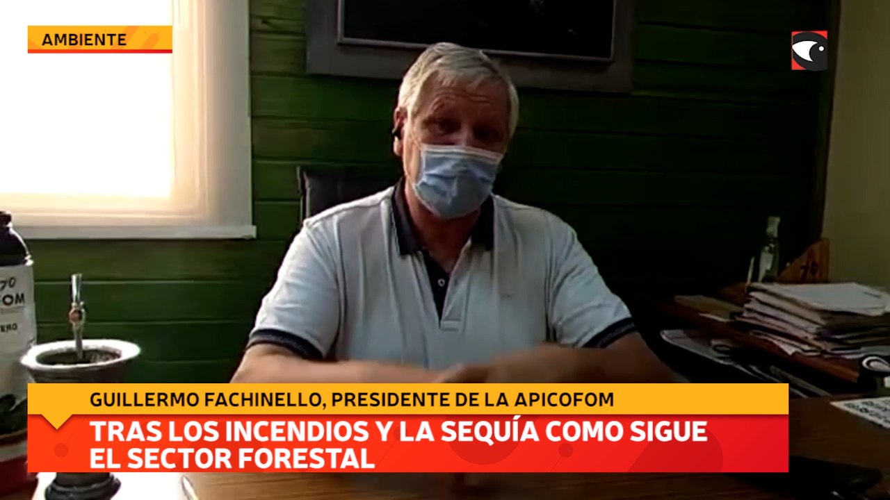Tras los incendios y la sequía como sigue el sector forestal