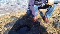 Pedro García, responsable de Anse, sacando fango de la playa de los Alemanes en el Mar Menor.