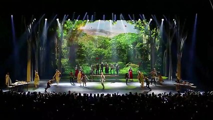 Robin des Bois : le clip "J'attendais"