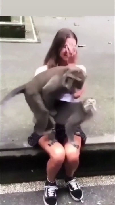 funny tiktok video
