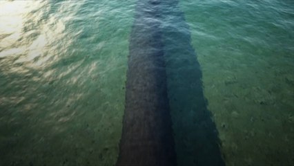 En réponse aux offensives russes, l'Allemagne suspend le projet Nordstream 2