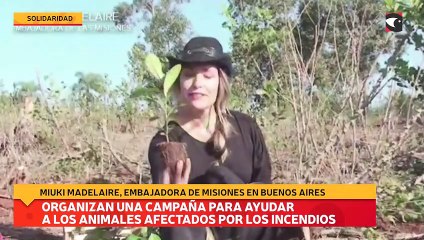 Organizan una campaña para ayudar a los animales afectados por los incendios