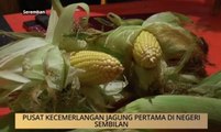 AWANI - Negeri Sembilan: Pusat kecemerlangan jagung pertama di Negeri Sembilan